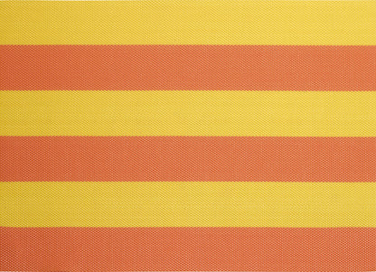 13" PVC Placemats - Set of 4