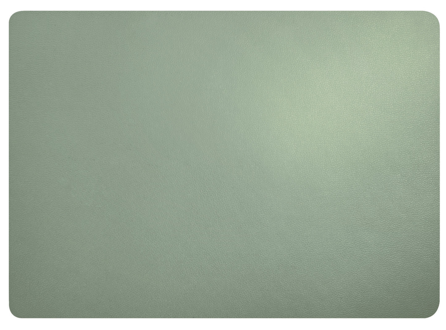 13" Faux Leather Placemats - Set of 4
